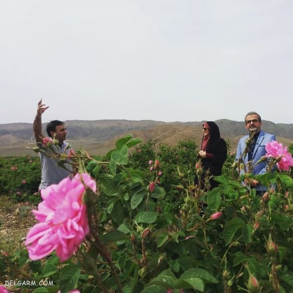 بیوگرافی ساجده سلیمانی مجری صدا و سیما + عکس