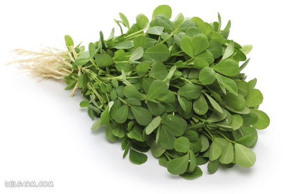 ماسک شنبلیله مناسب برای درمان چروک اطراف چشم