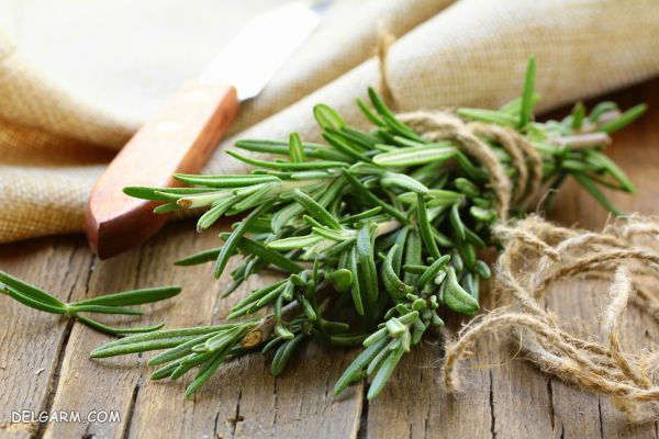 اسکراب پوست سر با رزماری