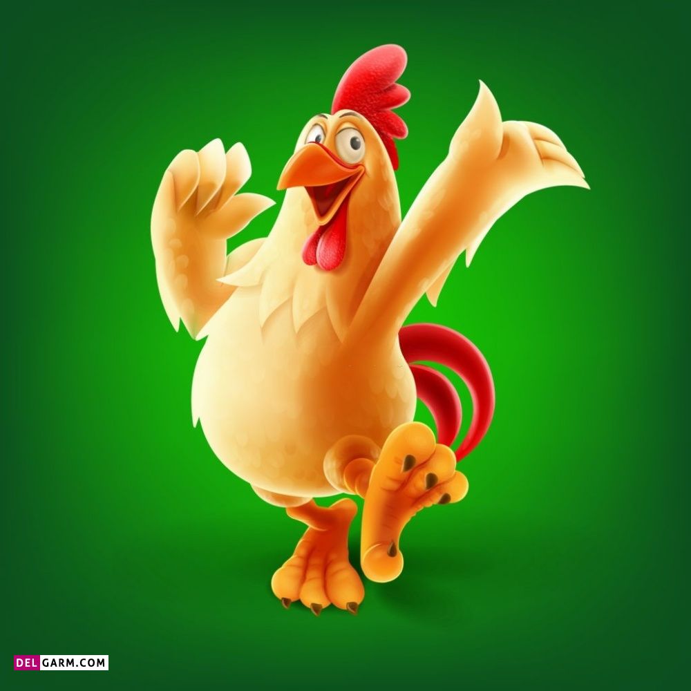دانلود عکس خروس
