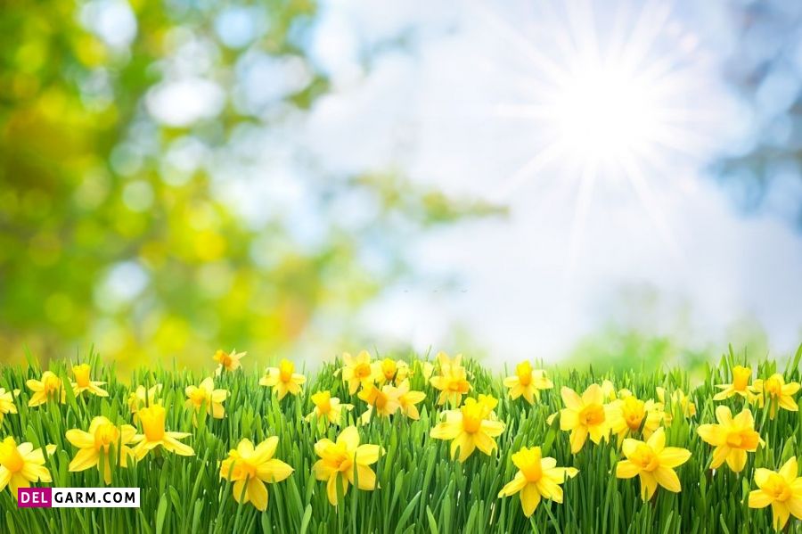 متن عاشقانه صبح بخیر بهاری