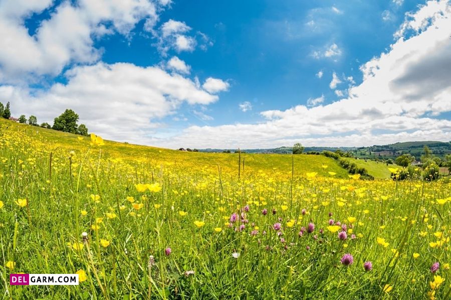 پیامک صبح بخیر بهاری