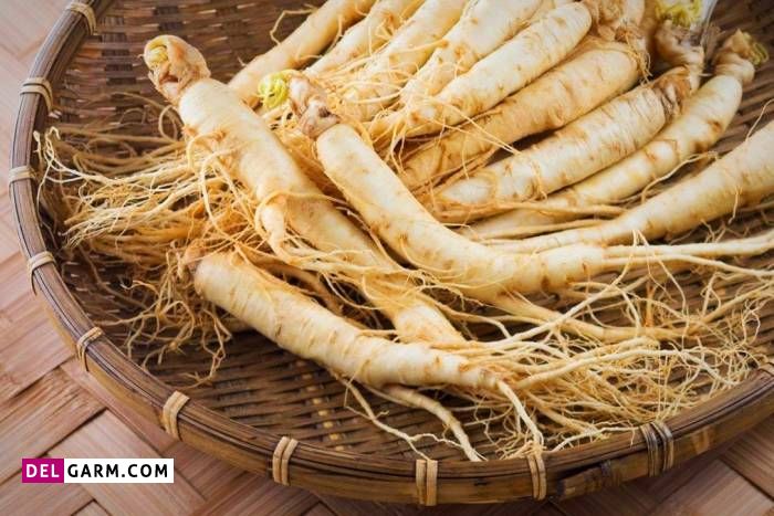 درمان بیماری پارکینسون با داروهای گیاهی