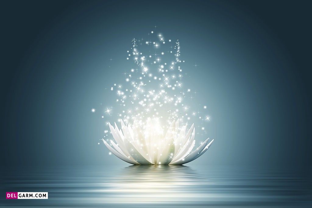  تصویر زمینه نیلوفر آبی