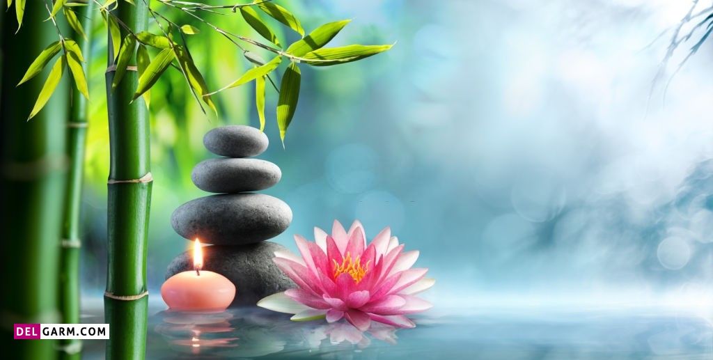 عکس گل نیلوفر وحشی