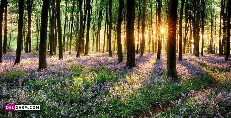 متن انگیزشی صبح بهاری