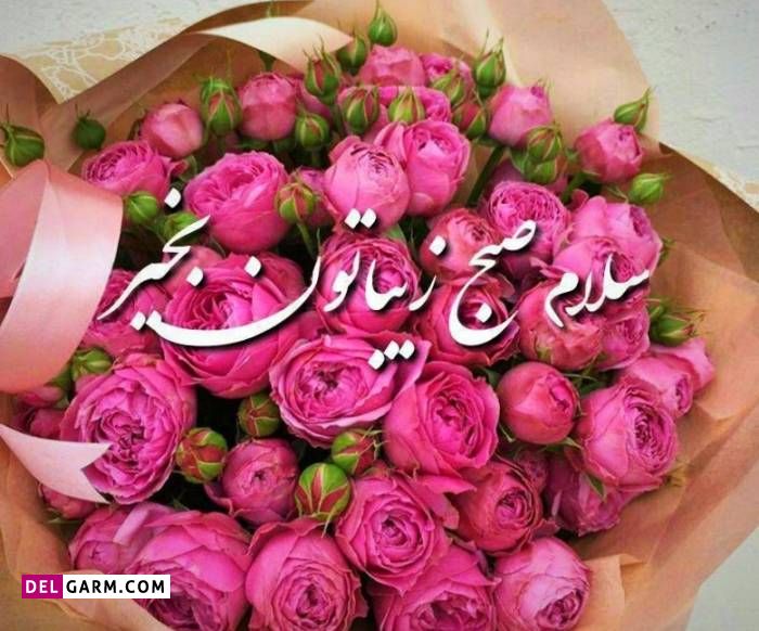 عکس صبح بخیر شاد