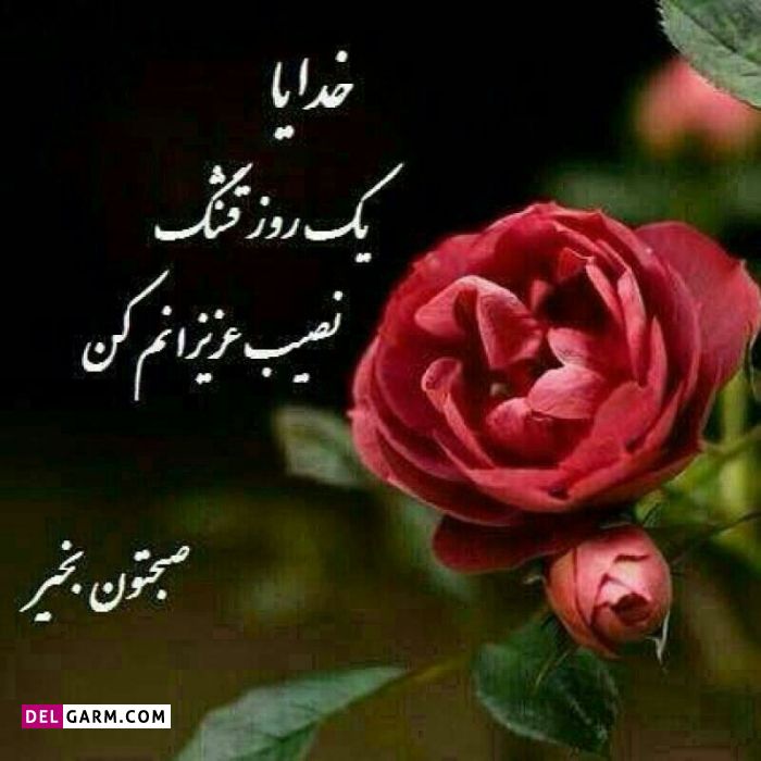 عکس صبح بخیر شاد