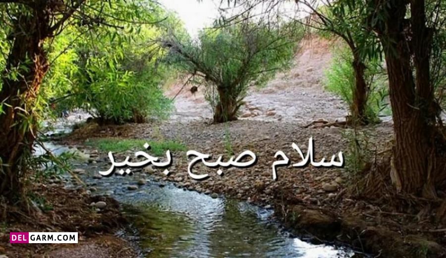 عکس صبح بخیر شاد