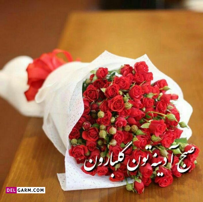 عکس صبح بخیر شاد