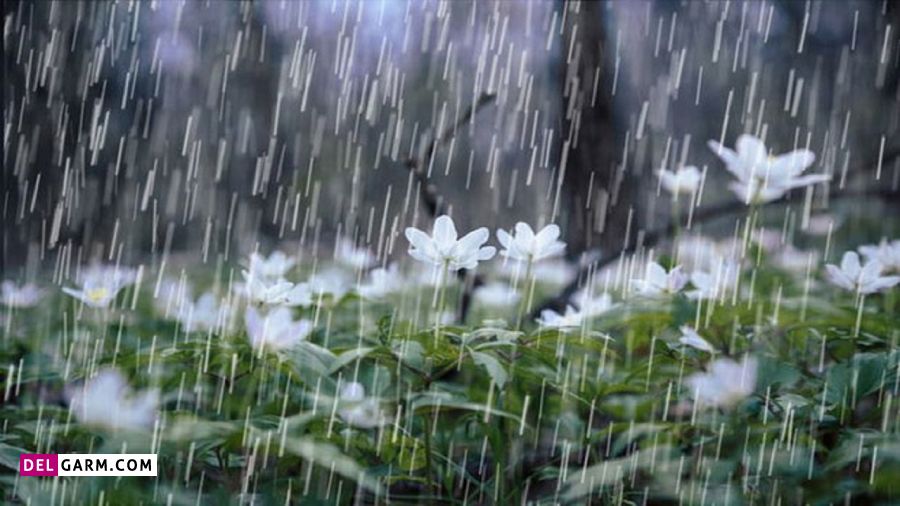 انشای ساده درمورد صدای باران
