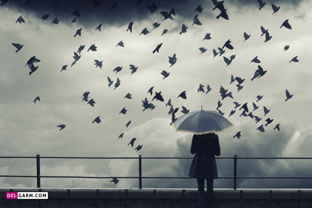 عکس باران و پنجره