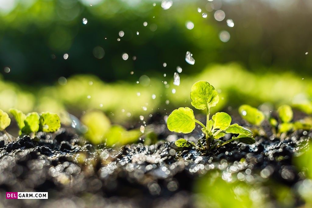 عکس باران و پنجره