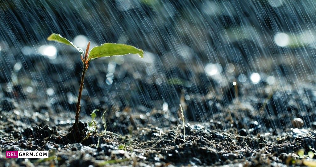 عکس باران و پنجره