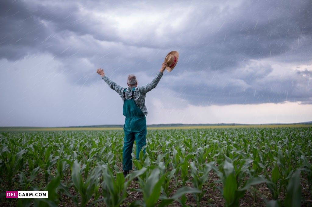 عکس باران و پنجره