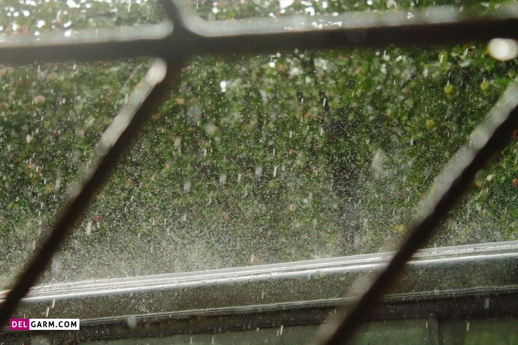 عکس باران و پنجره