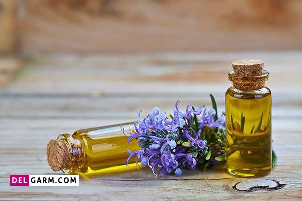 طرز تهیه روغن رزماری