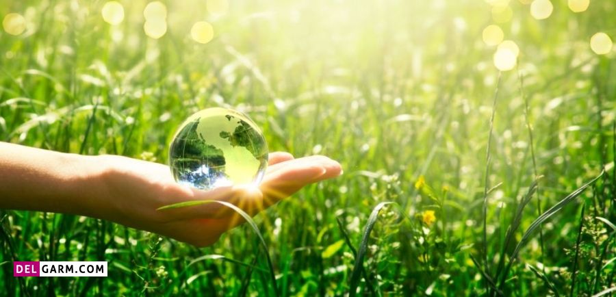 آهنگ محیط زیست بی کلام