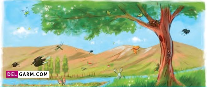 جواب تمرین درس چهاردهم نگارش ششم