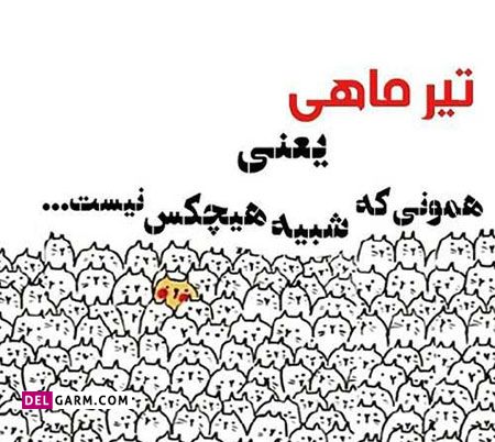 عکس تولد تیر ماهی