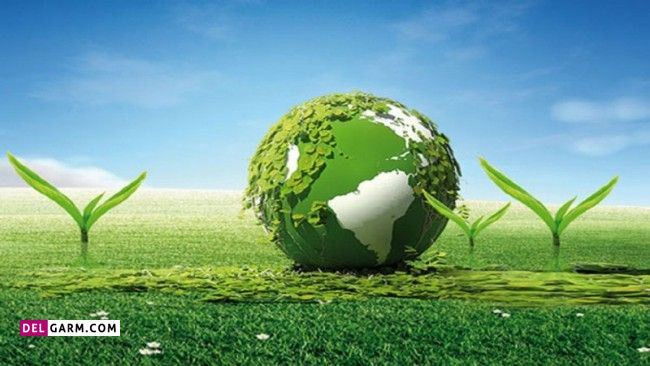 انشا برای چرا باید از طبیعت مراقبت کینم