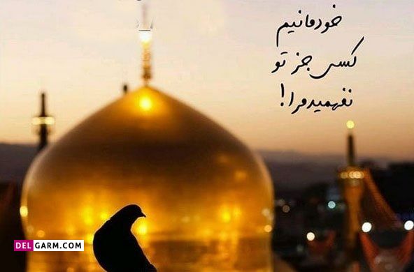 حدیث از امام رضا