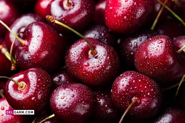 طبع گیلاس