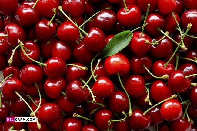 طبع گیلاس