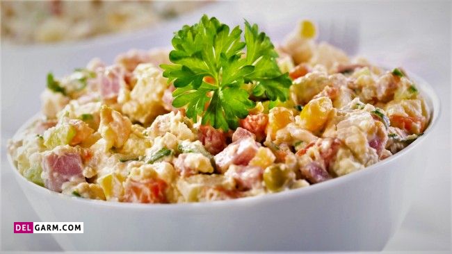 طرز تهیه غذای روسی