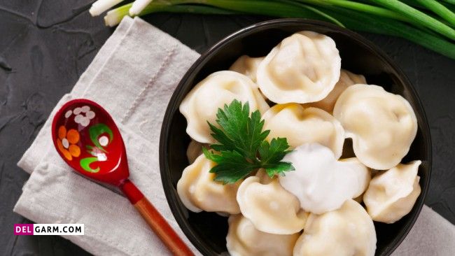 طرز تهیه غذای روسی