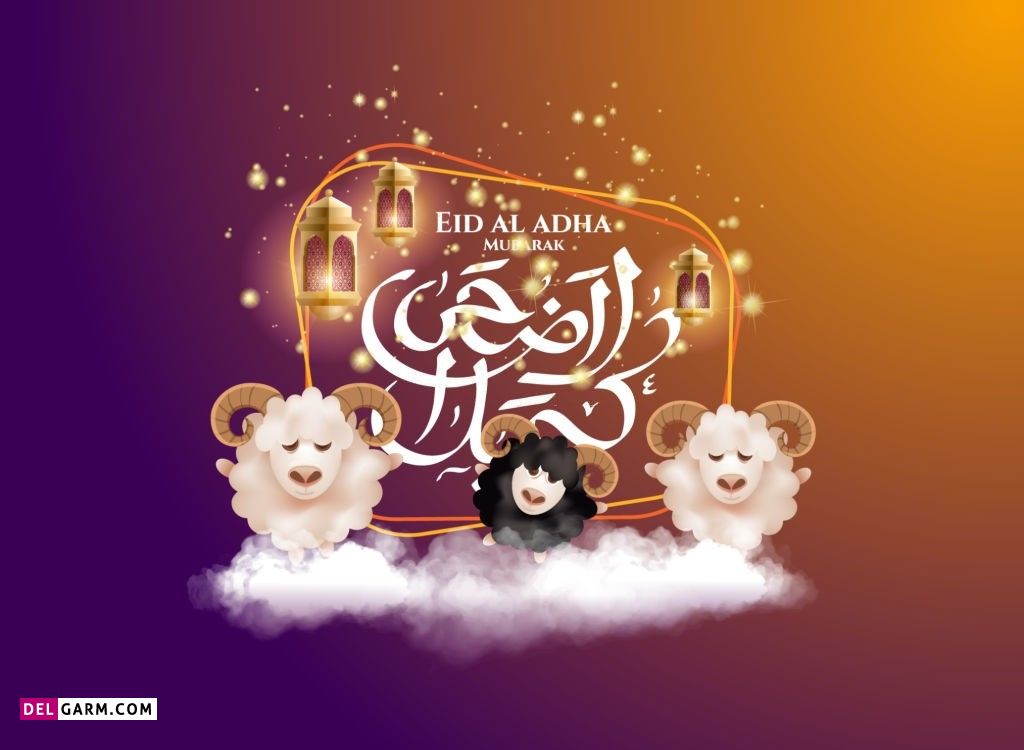عکس گوسفند عید قربان