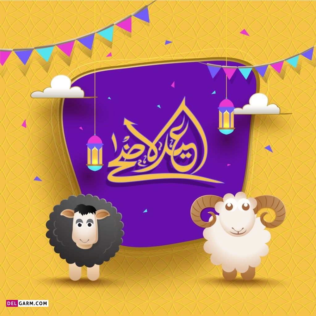 عکس گوسفند عید قربان