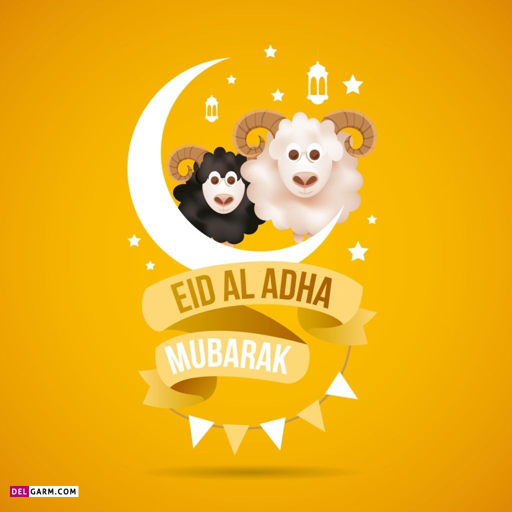 عکس گوسفند عید قربان