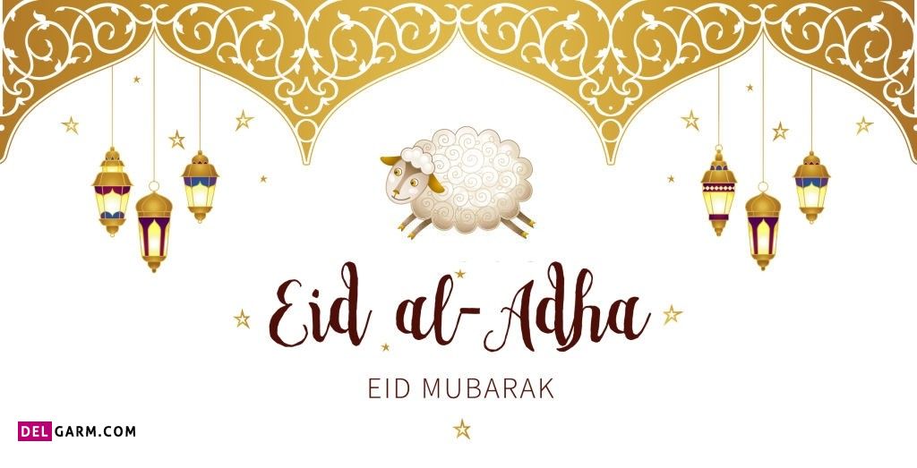 عکس گوسفند عید قربان
