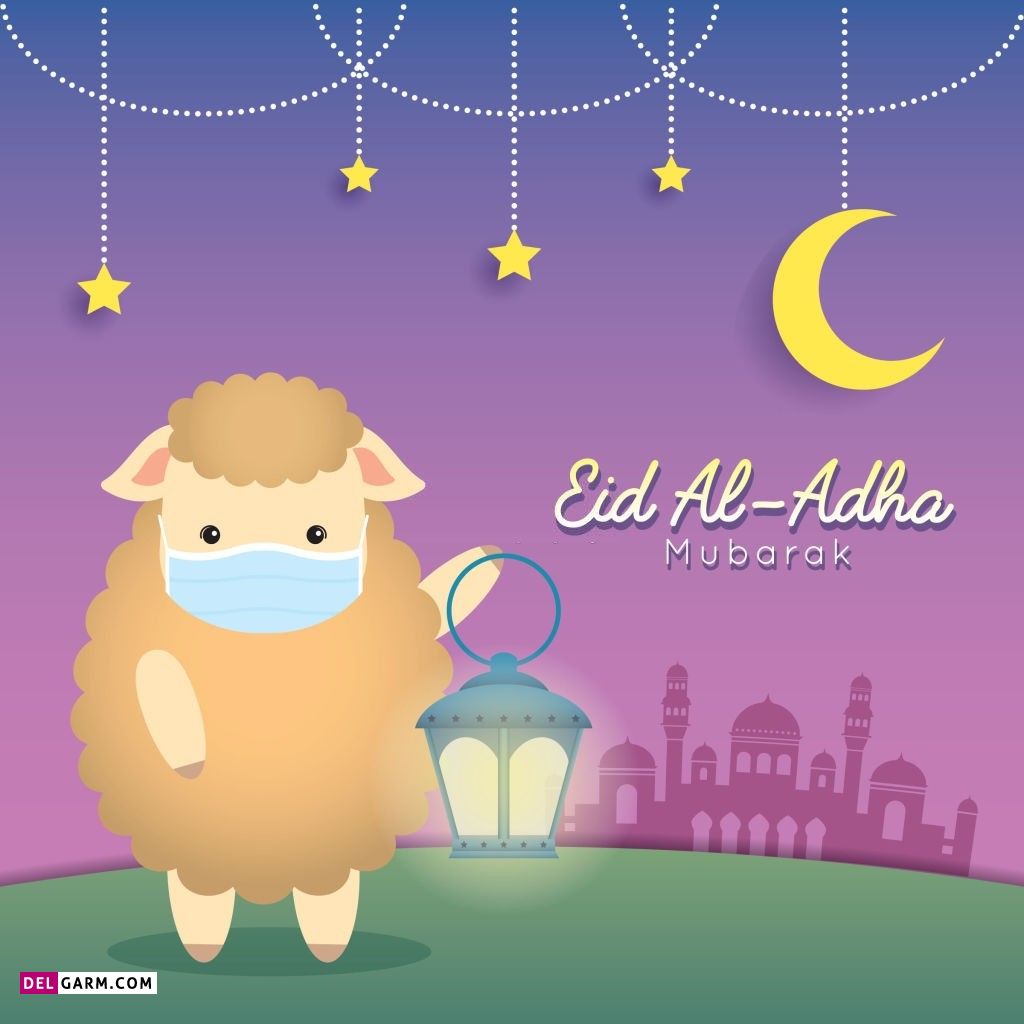 عکس گوسفند عید قربان