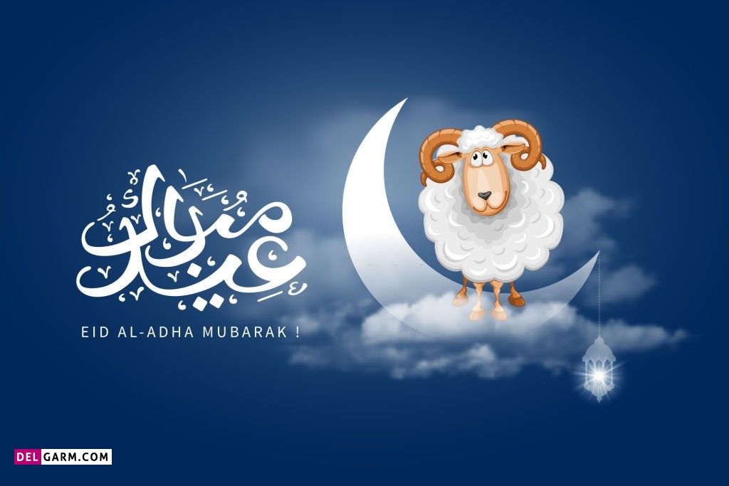 عکس گوسفند عید قربان