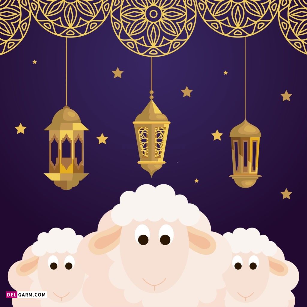 عکس گوسفند عید قربان