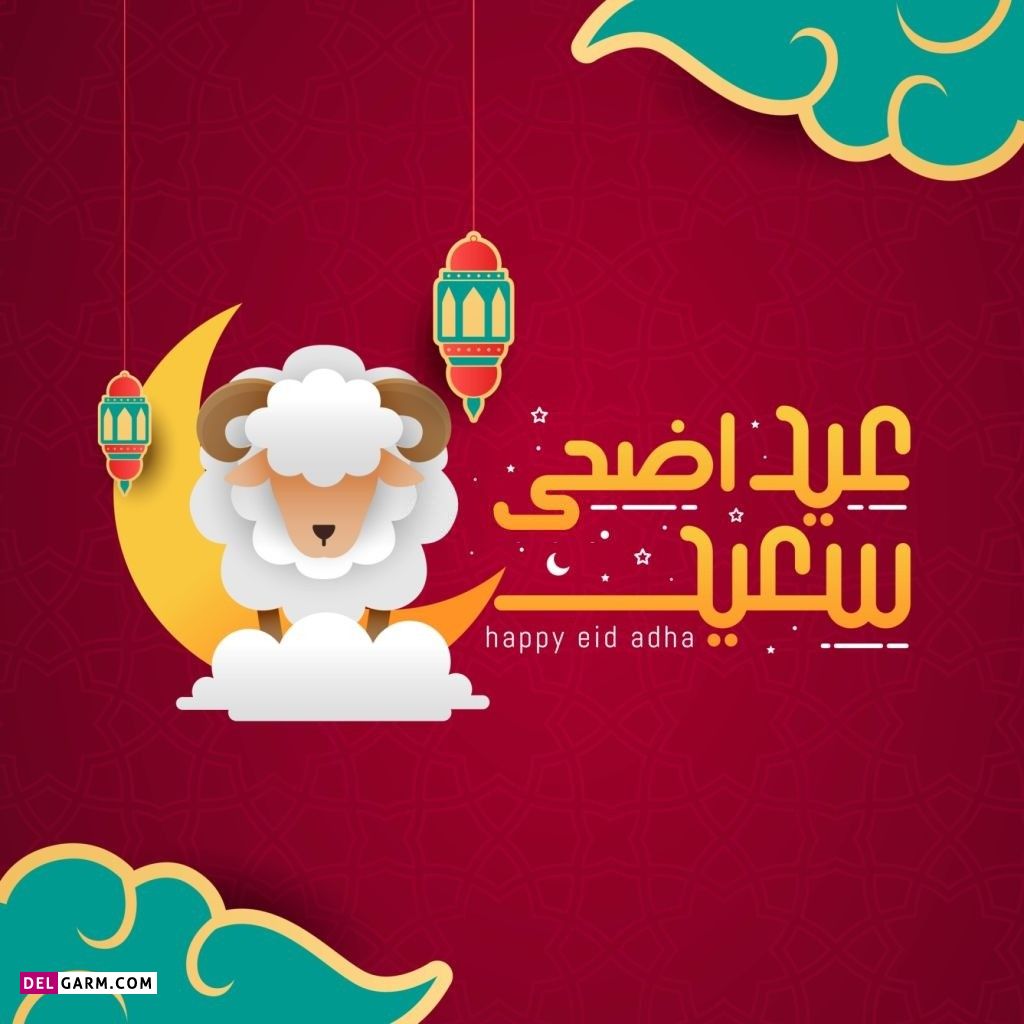 عکس گوسفند عید قربان