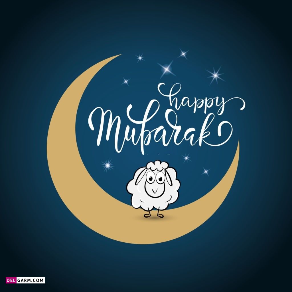 عکس گوسفند عید قربان