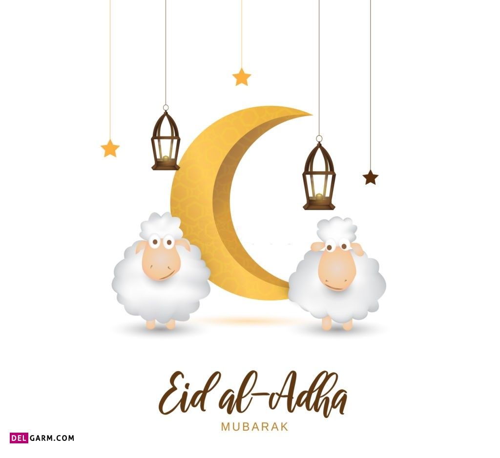 عکس گوسفند عید قربان