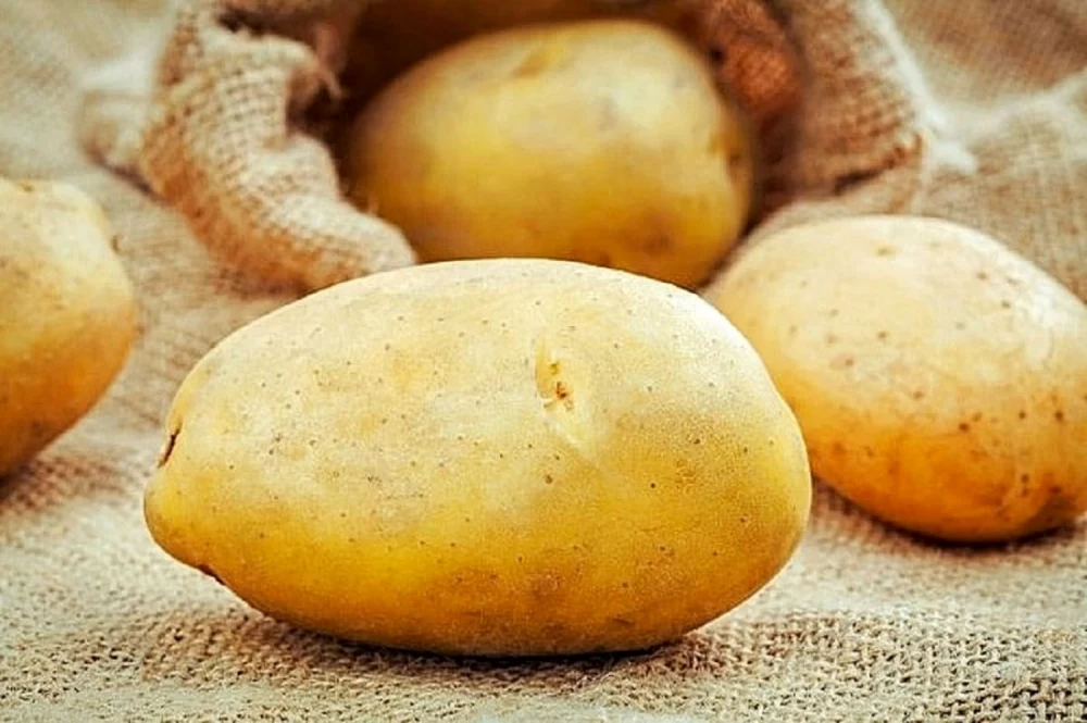 طبع سیب زمینی