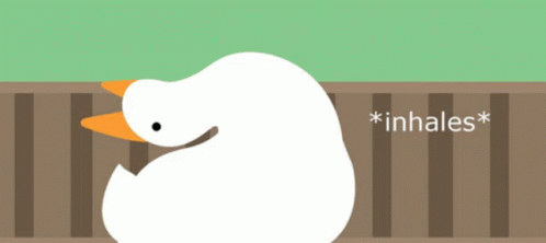 گیف غاز