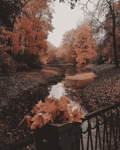 گیف پاییز