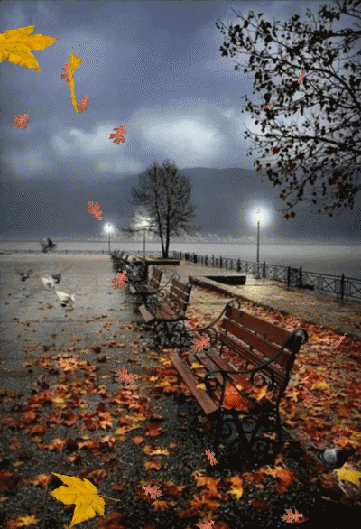 گیف پاییز
