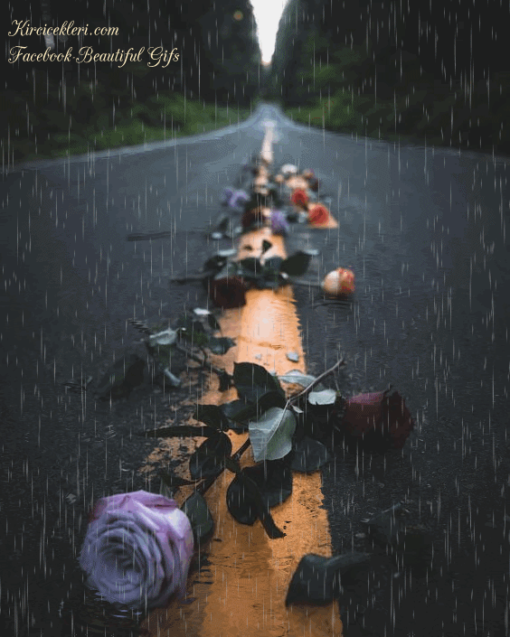 عکس باران و پنجره