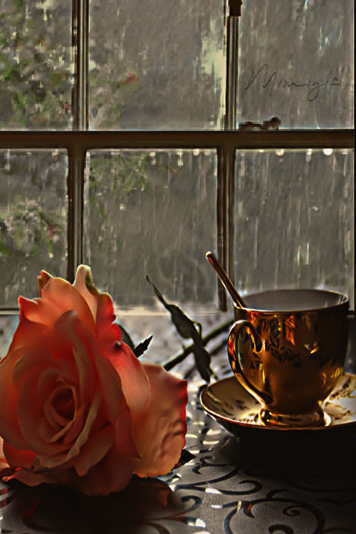 عکس باران و پنجره