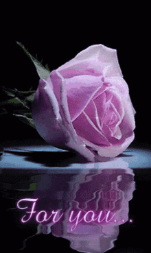 گیف گل رز