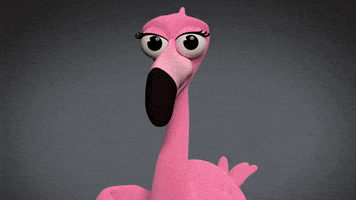 تولیدی لوازم پرنده