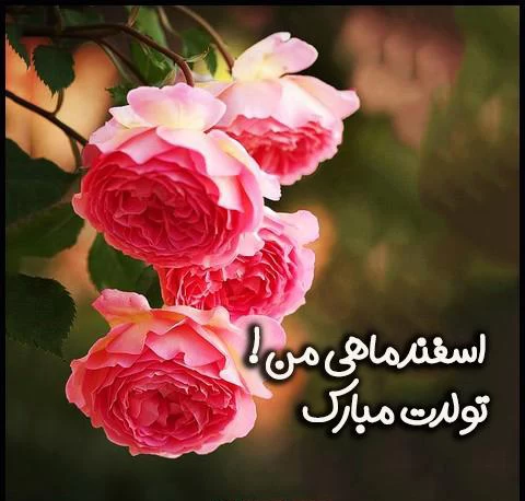 تولد پدر اسفند ماهی