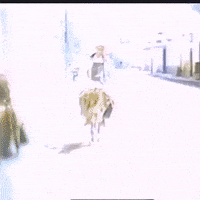 گیف الاغ